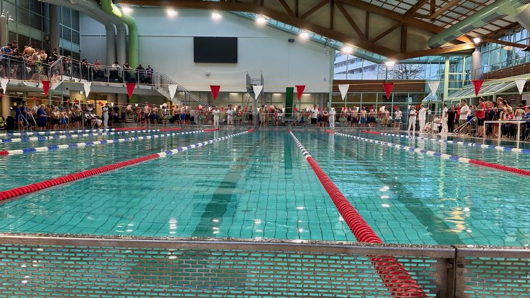 DMS – “Ist der Plan auch gut gelungen…”